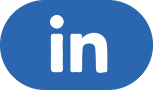 Icona - LinkedIn